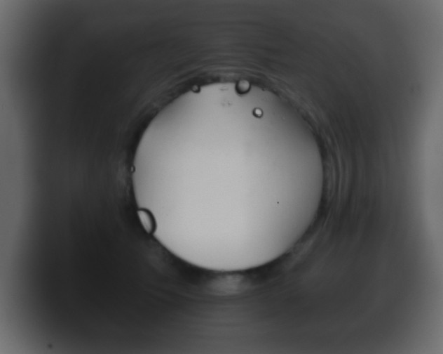 X0000100400609200806060856