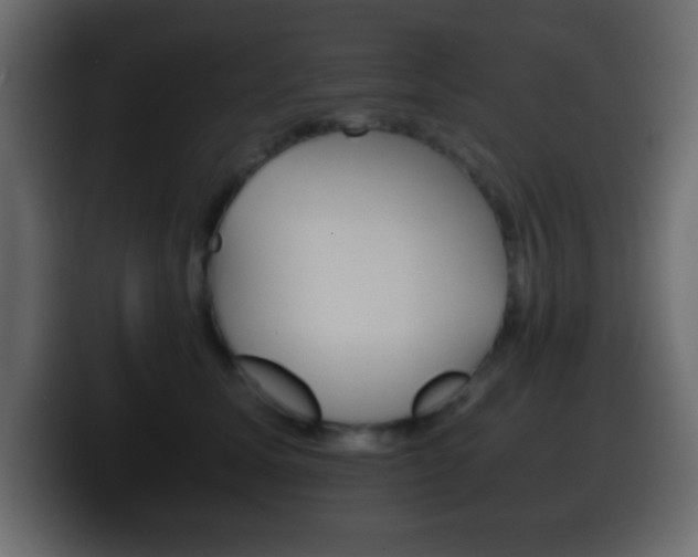X0000100400611200806060855