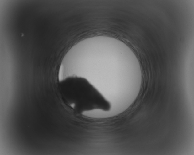 X0000100400613200806060855