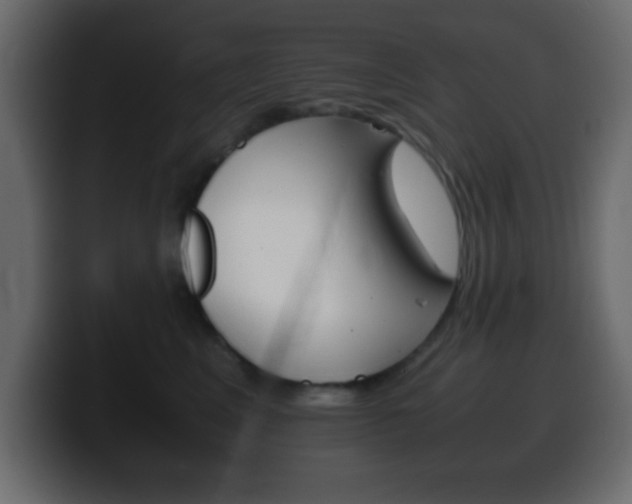 X0000100400617200806060855