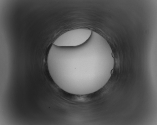 X0000100400618200806060855
