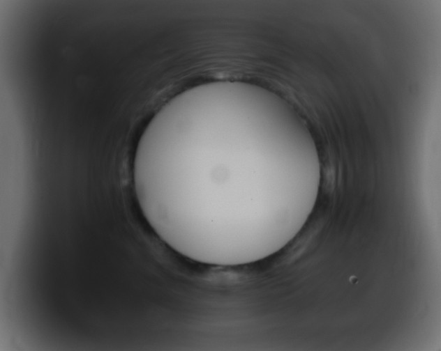 X0000100400620200806060855