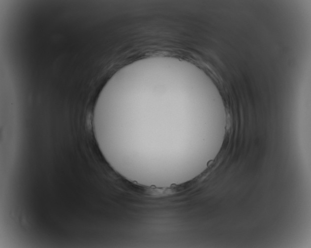 X0000100400621200806060855