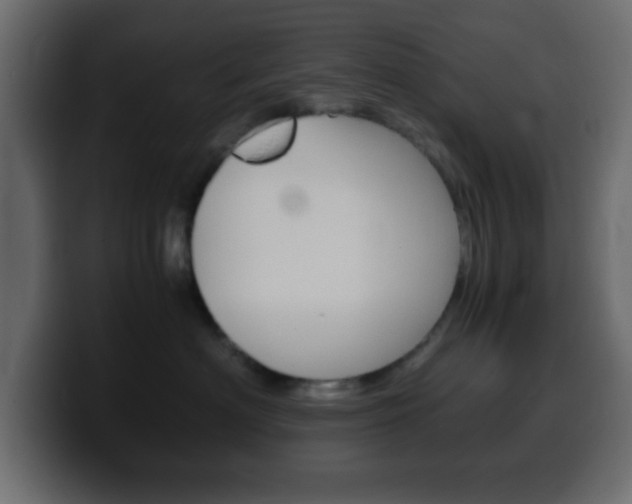 X0000100400622200806060855