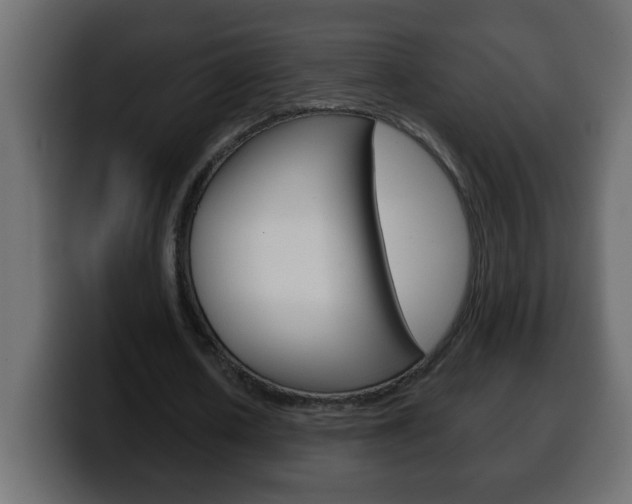 X0000100400626200806060855