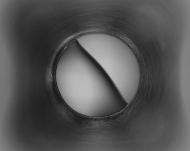 X0000100400628200806060855