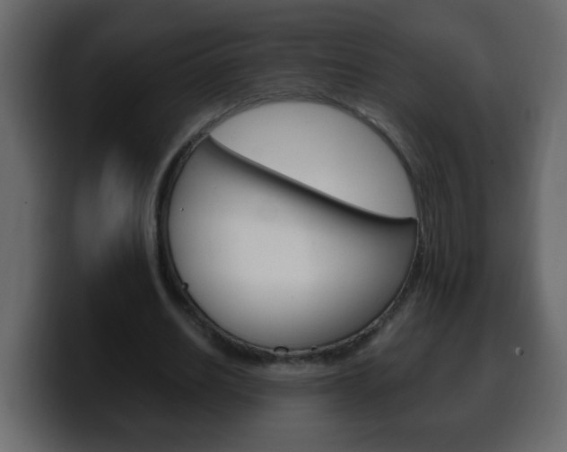 X0000100400630200806060855