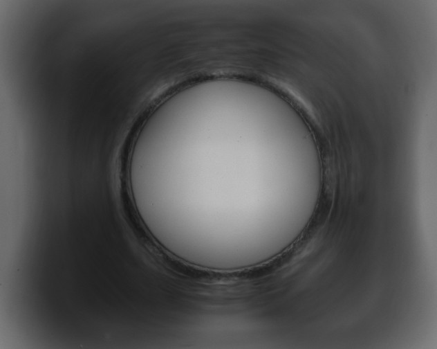 X0000100400631200806060855