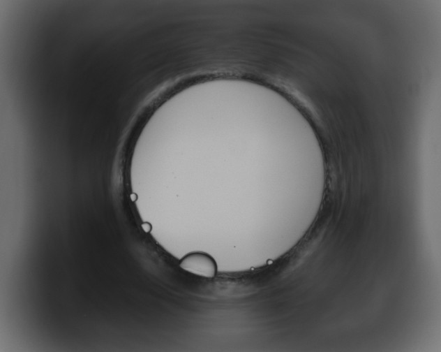X0000100400632200806060855