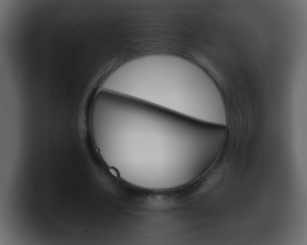 X0000100400634200806060855