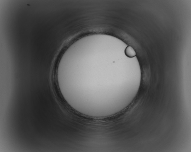 X0000100400636200806060855