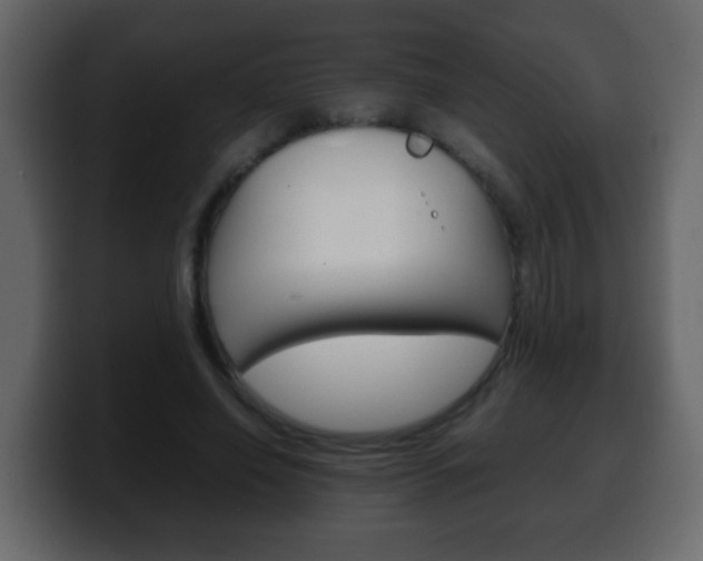 X0000100400638200806060855