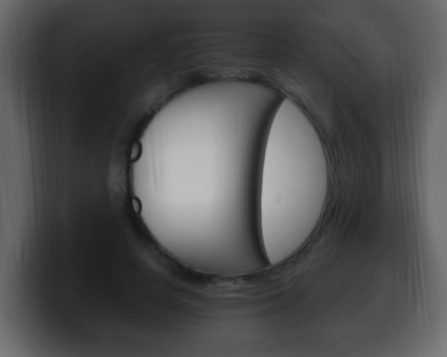 X0000100400642200806060855