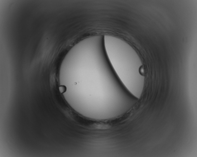 X0000100400644200806060855