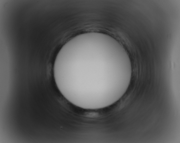 X0000100400649200806060855