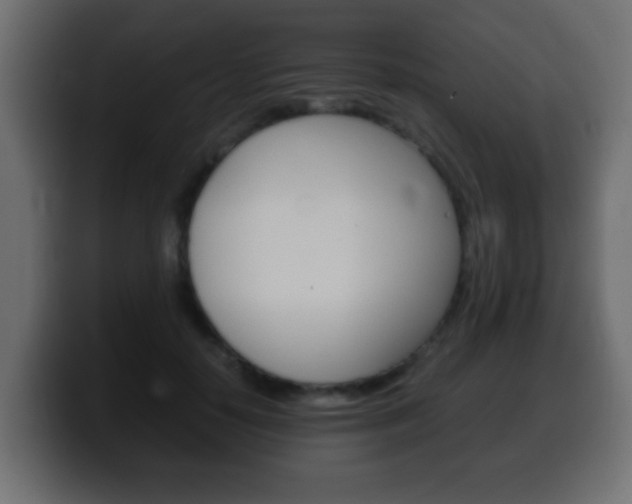 X0000100400650200806060855
