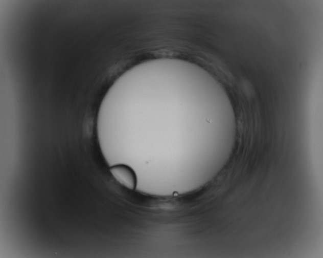 X0000100400652200806060855