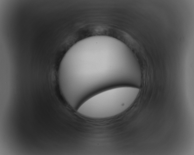 X0000100400654200806060855