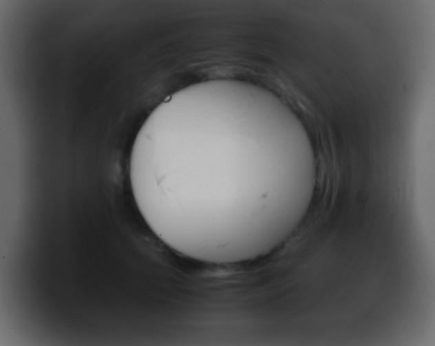X0000100400655200806060855