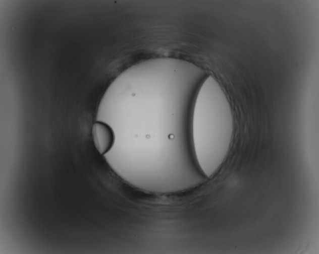 X0000100400656200806060855