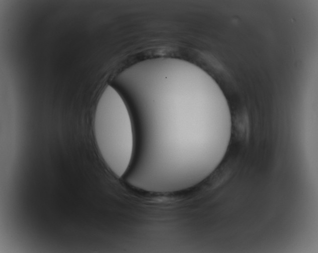 X0000100400657200806060855