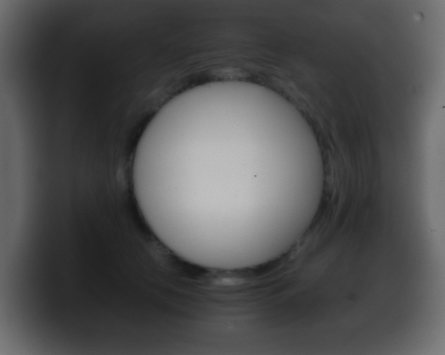 X0000100400658200806060855