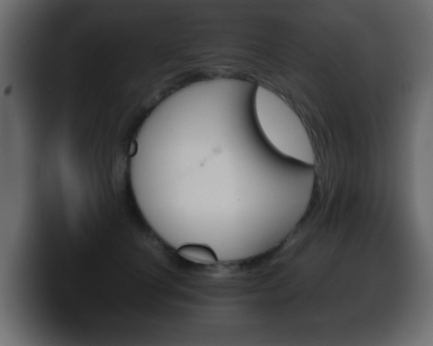 X0000100400660200806060855