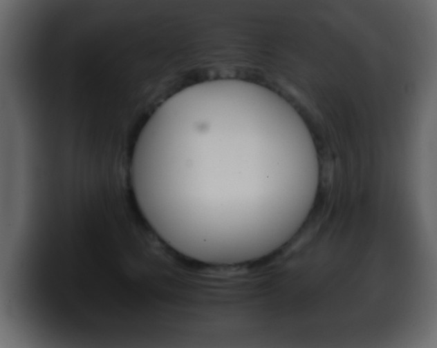 X0000100400661200806060855