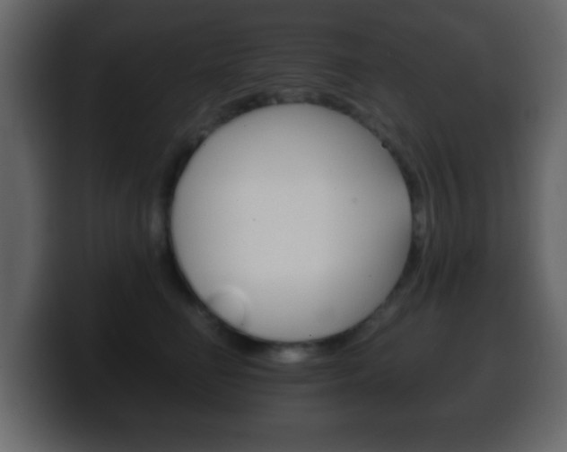 X0000100400662200806060855