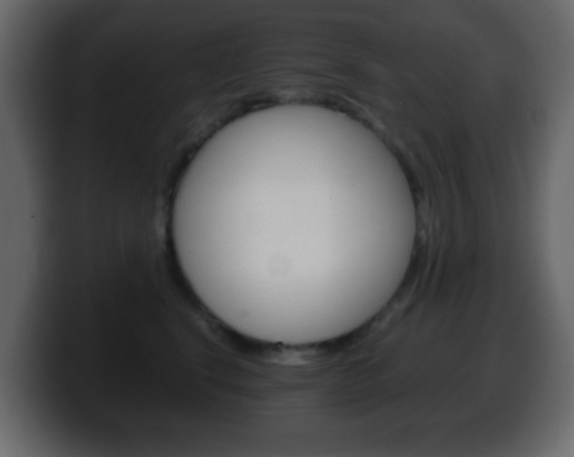 X0000100400664200806060855