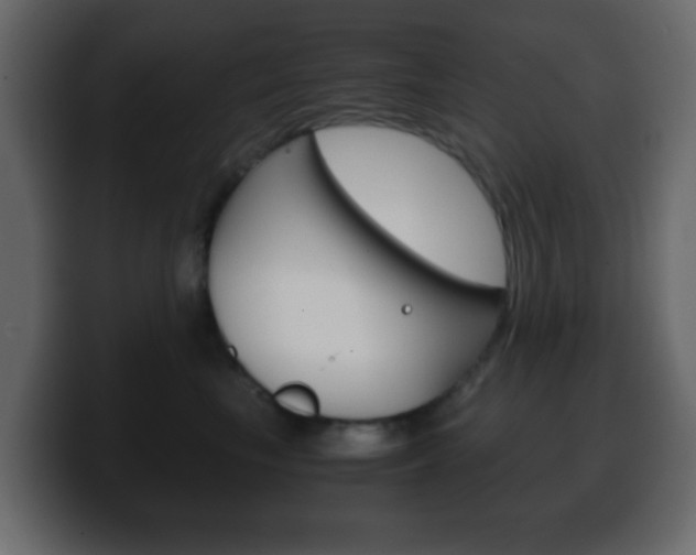 X0000100400665200806060855