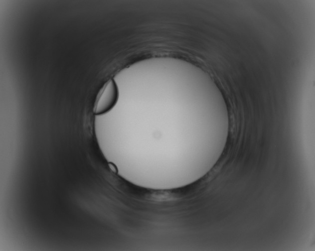 X0000100400666200806060855