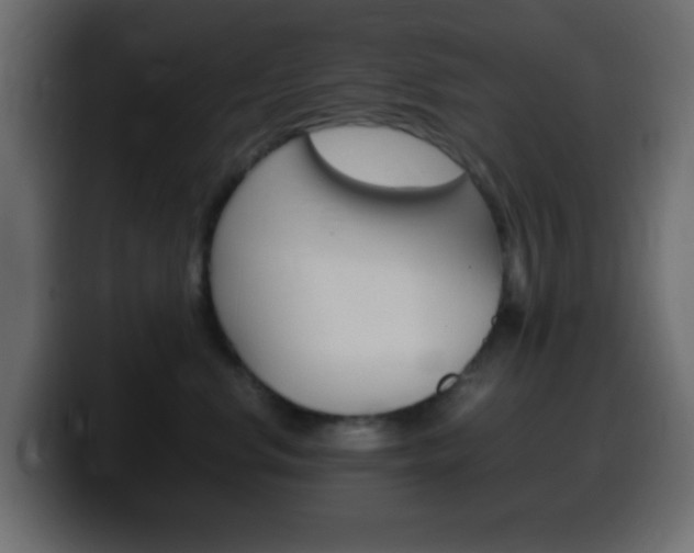 X0000100400668200806060855
