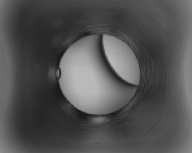 X0000100400669200806060855