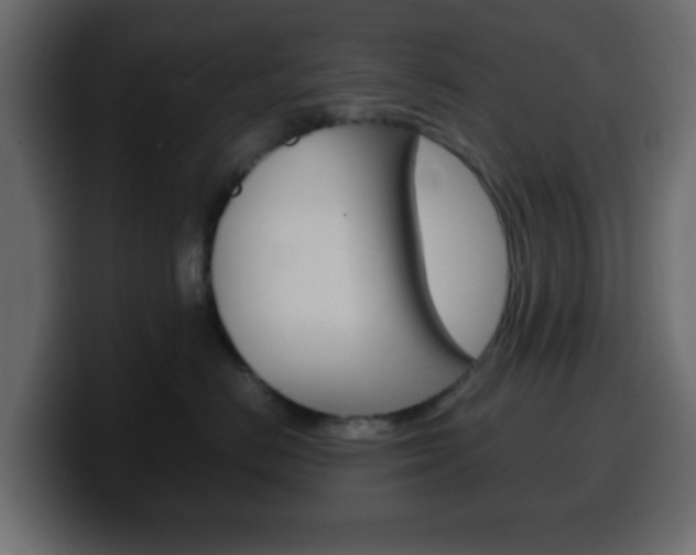 X0000100400670200806060855