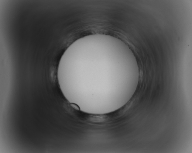 X0000100400671200806060855