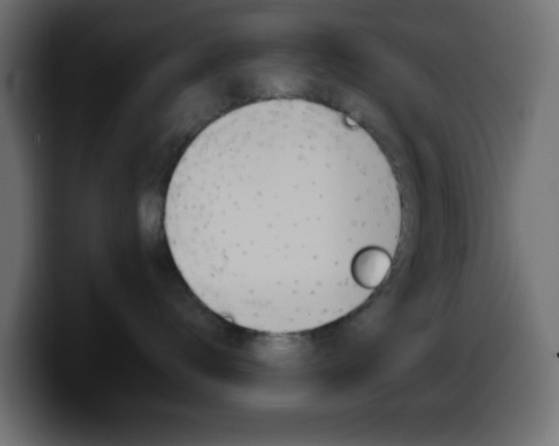 X0000100400672200806060855