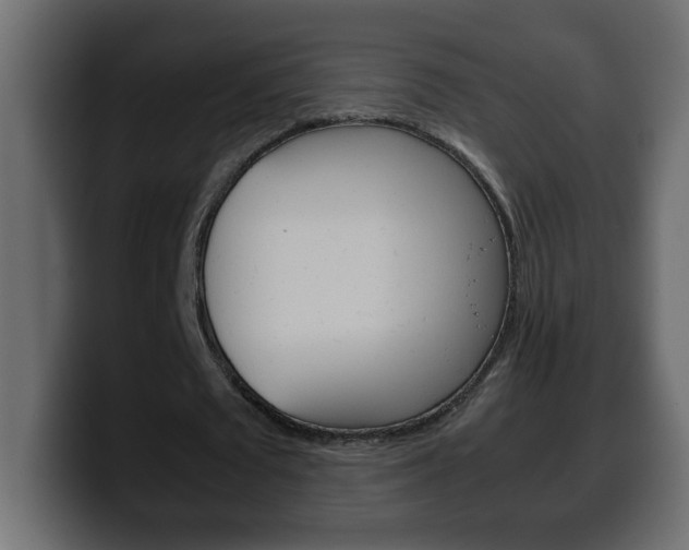 X0000100400673200806060855