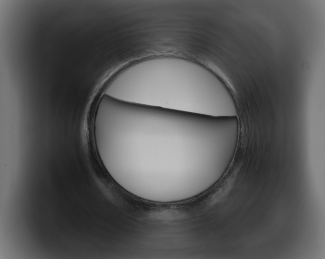 X0000100400674200806060855