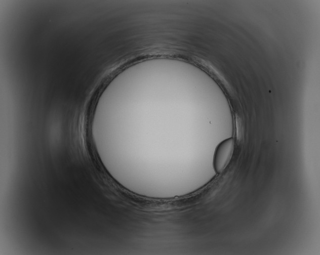 X0000100400675200806060855