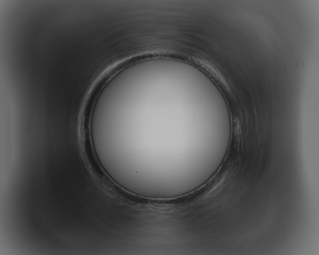 X0000100400676200806060855
