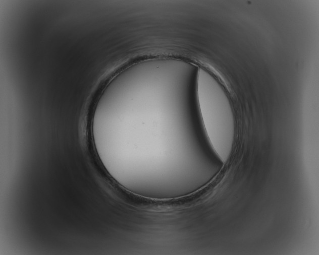 X0000100400677200806060855