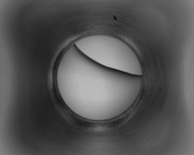 X0000100400678200806060855