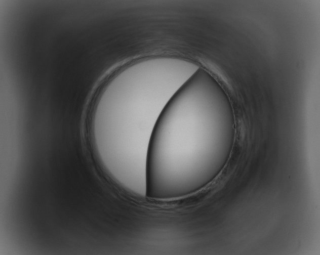 X0000100400680200806060855