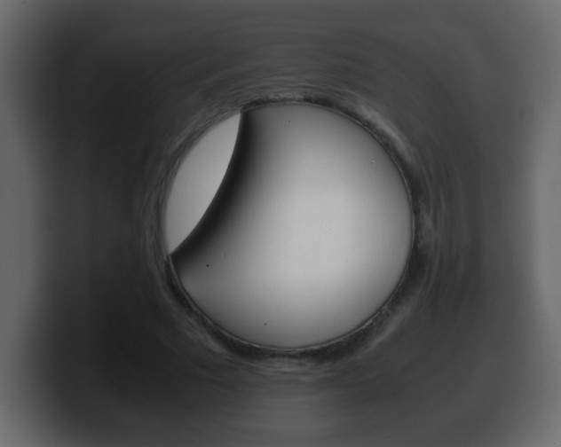 X0000100400681200806060855