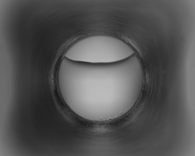 X0000100400682200806060855