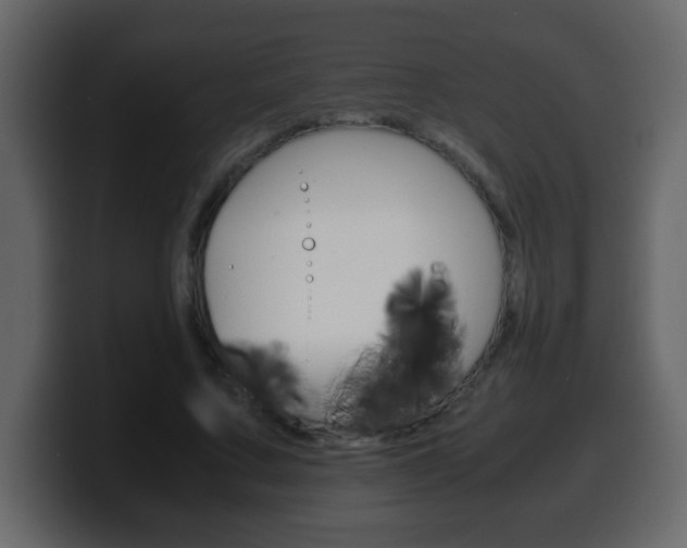X0000100400683200806060855