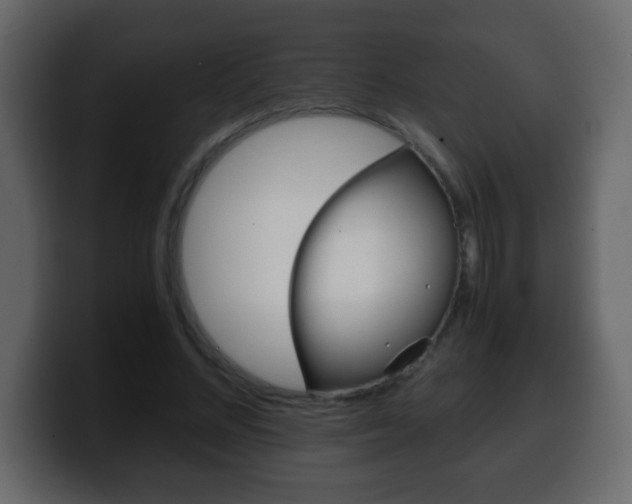 X0000100400684200806060855