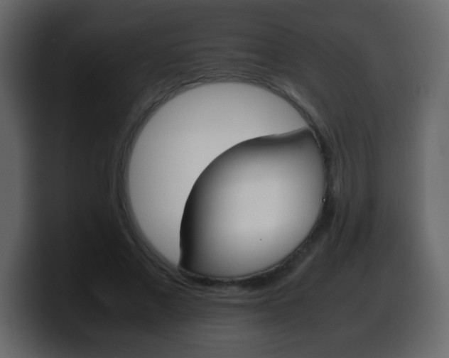 X0000100400685200806060855