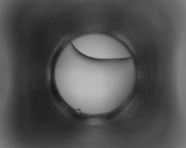 X0000100400686200806060855
